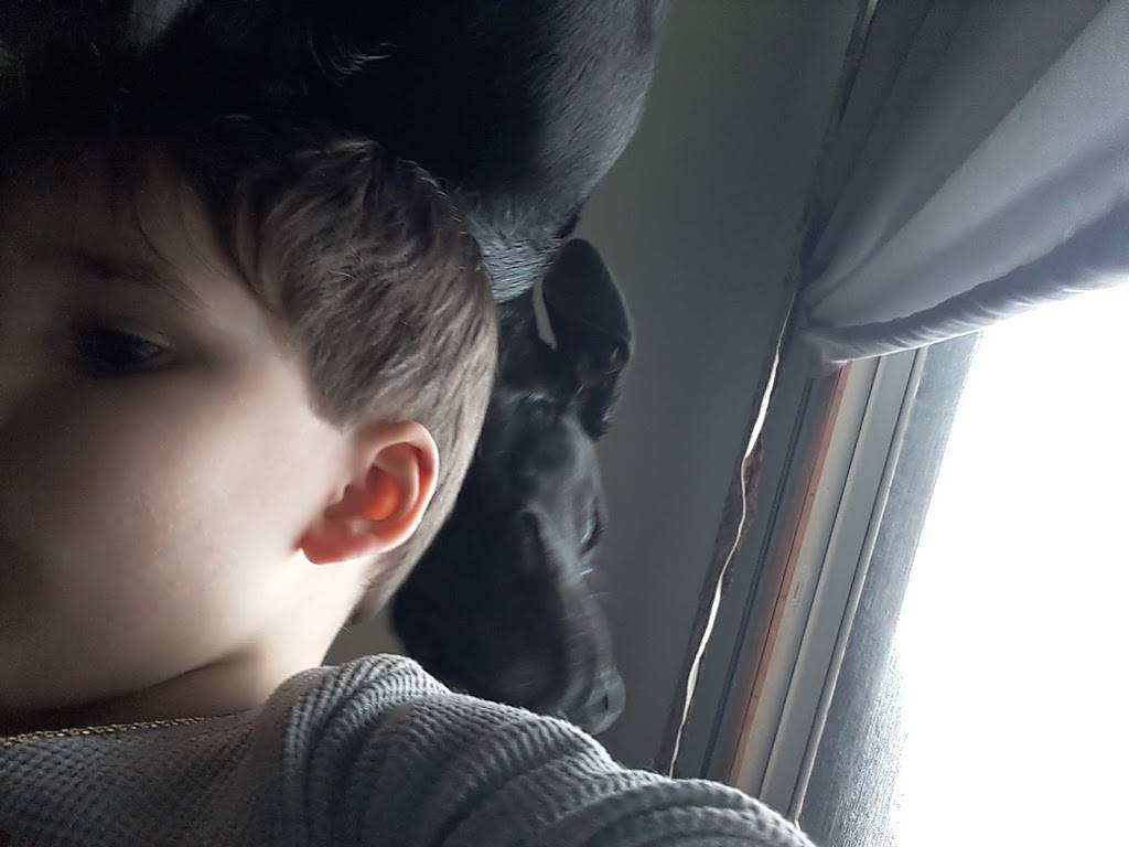 Babes Sports Bar & Grill | restaurant | 115 Honest St # B, Chattanooga, TN 37421, USA | 4238559800 OR +1 423-855-9800