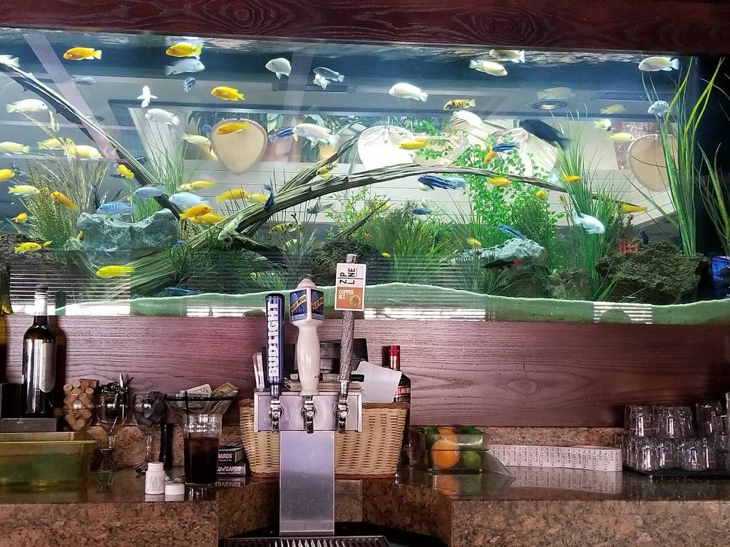 Cheddars Scratch Kitchen | restaurant | 5424 O St, Lincoln, NE 68510, USA | 4024880357 OR +1 402-488-0357