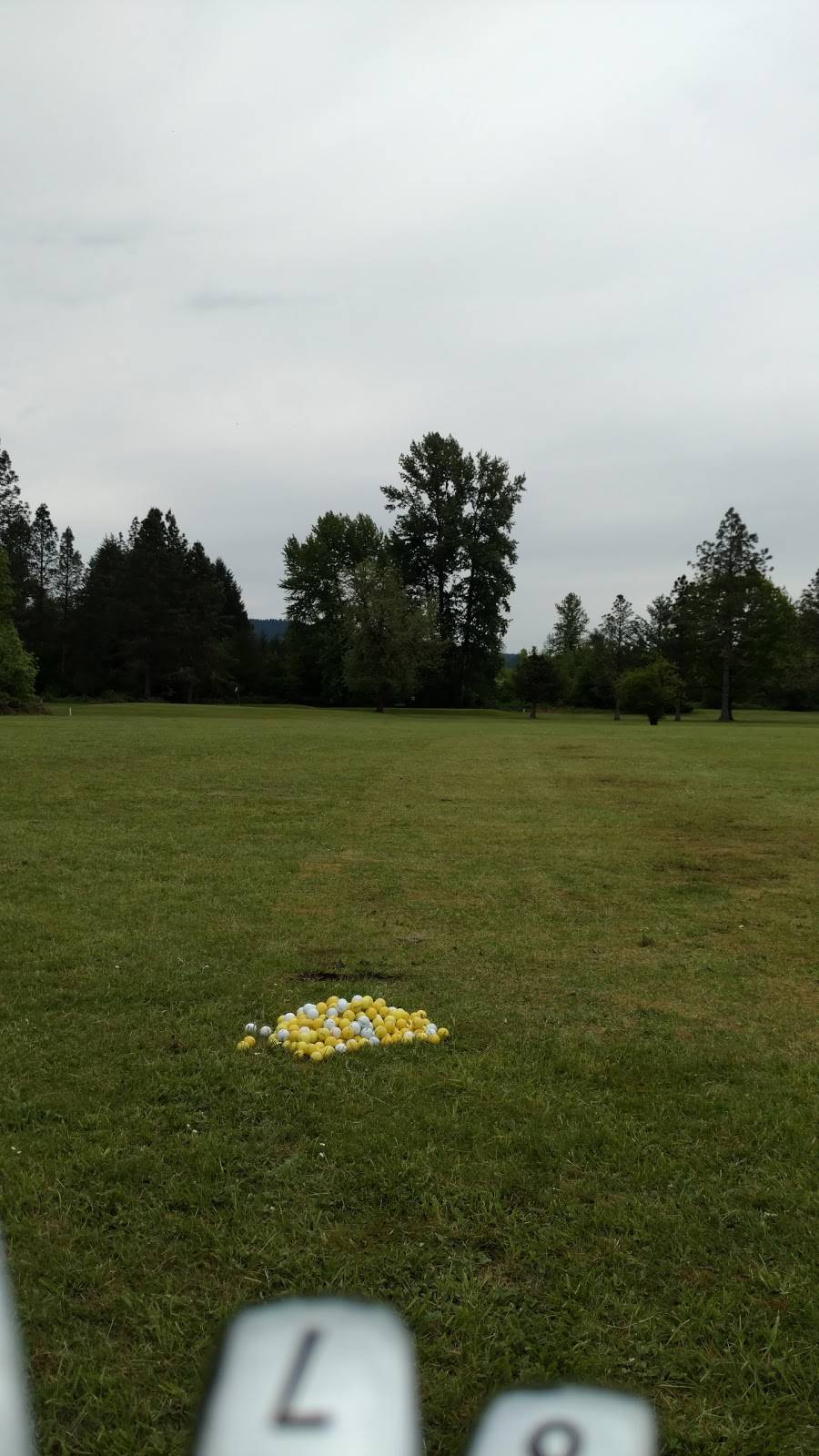 Pineway Golf Course | restaurant | 30949 Pineway Rd, Lebanon, OR 97355, USA | 5412588919 OR +1 541-258-8919