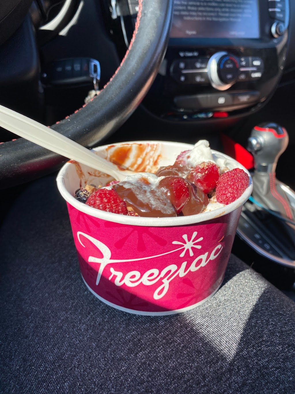 Freeziac | restaurant | 16532 W 78th St, Eden Prairie, MN 55346, USA | 9529344748 OR +1 952-934-4748