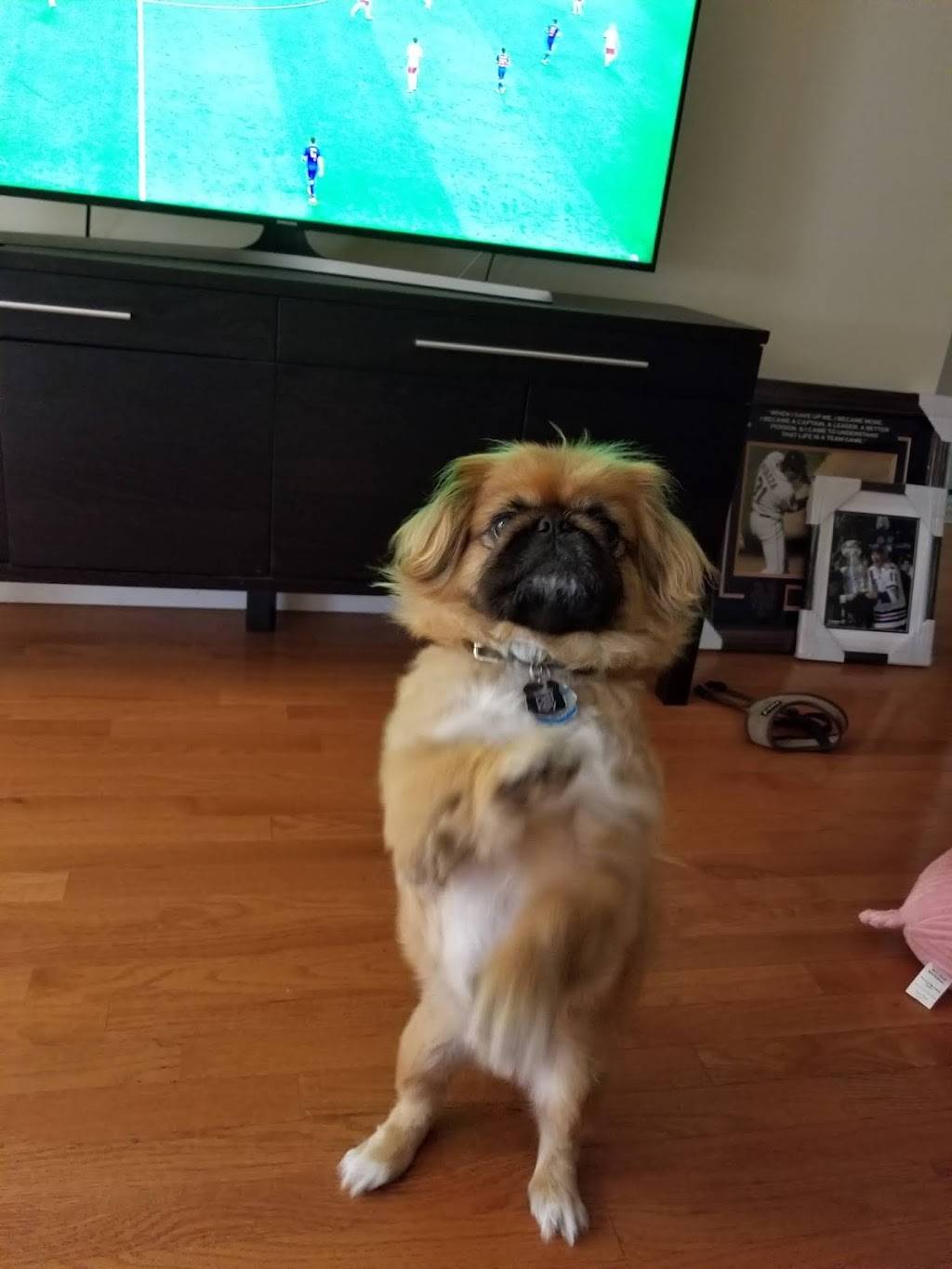 Lima | restaurant | 85-7 Northern Blvd, Jackson Heights, NY 11372, USA | 9178326682 OR +1 917-832-6682