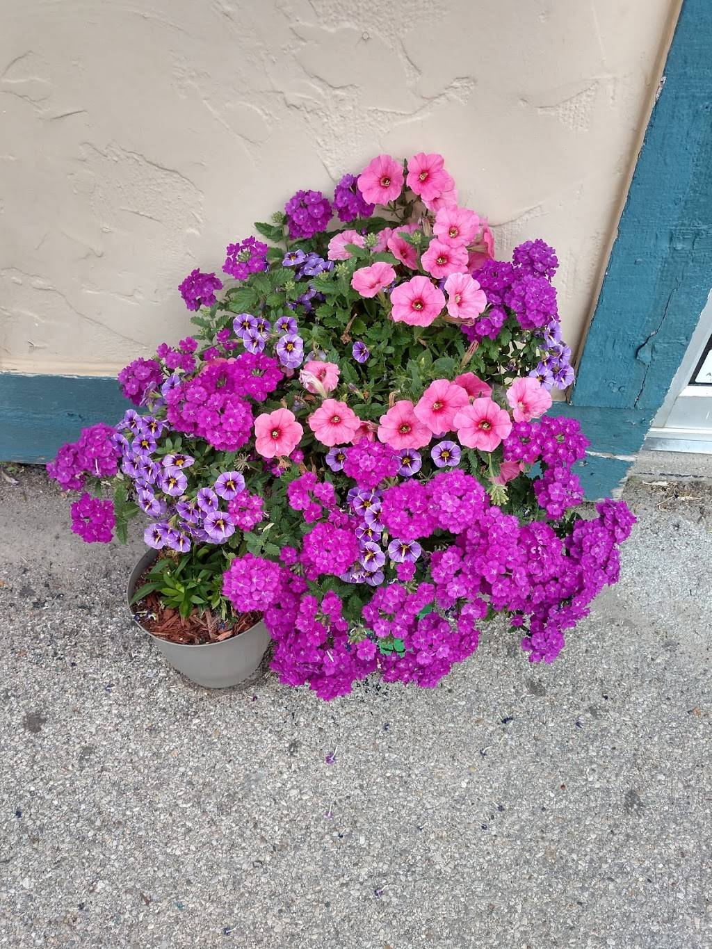 Nasos Marion | restaurant | 453 7th Ave, Marion, IA 52302, USA | 3193779066 OR +1 319-377-9066