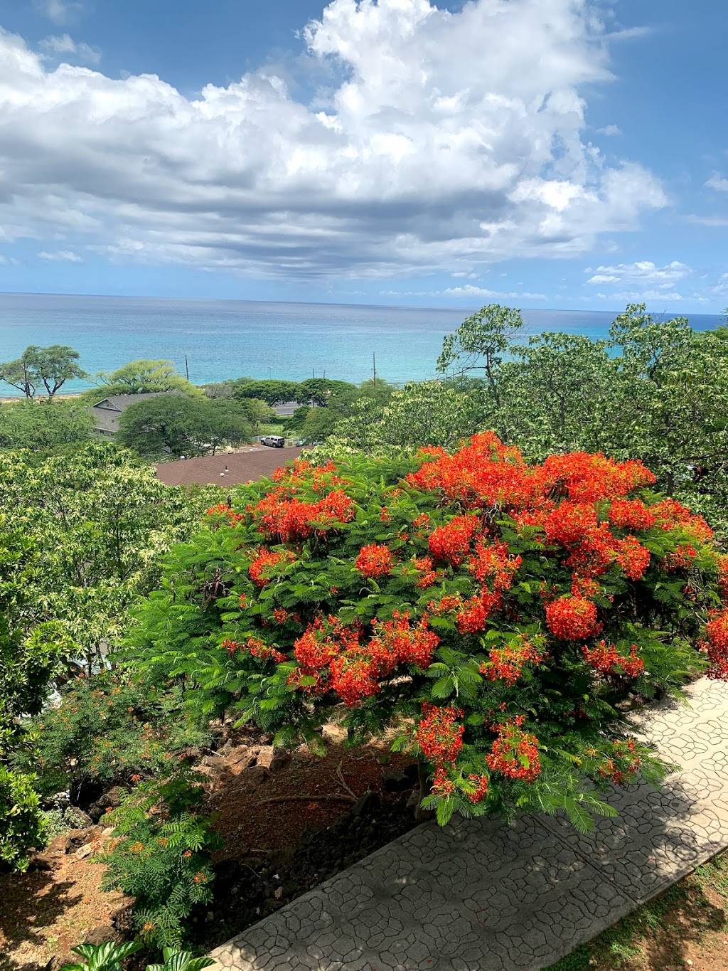 Kaʻahaʻaina Café | restaurant | 86-260 Farrington Hwy, Waianae, HI 96792, USA | 8086973488 OR +1 808-697-3488