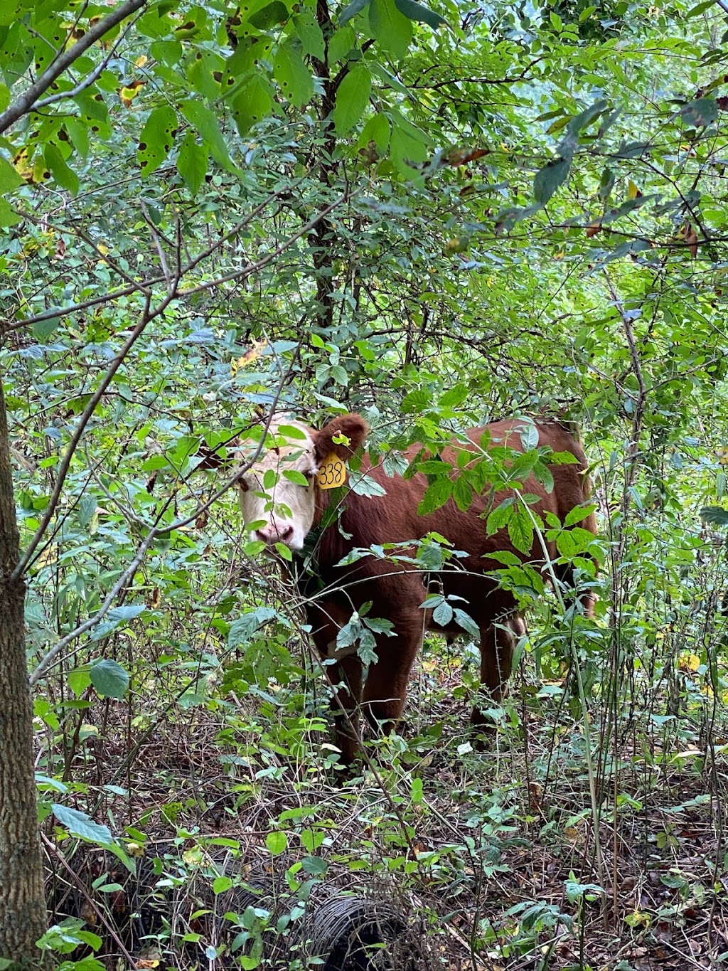 DMD Family Farm & General Store | restaurant | 10210 Warrensburg Rd, Midway, TN 37809, USA | 4237976129 OR +1 423-797-6129