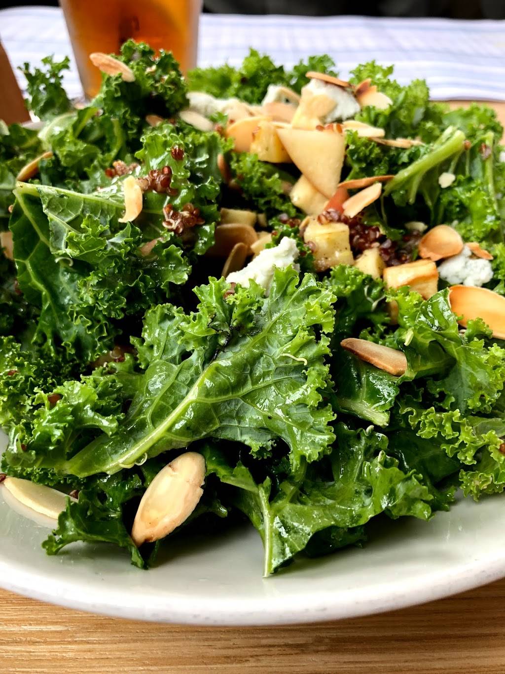 The Porch at Schenley | restaurant | 221 Schenley Drive, Pittsburgh, PA 15213, USA | 4126876724 OR +1 412-687-6724