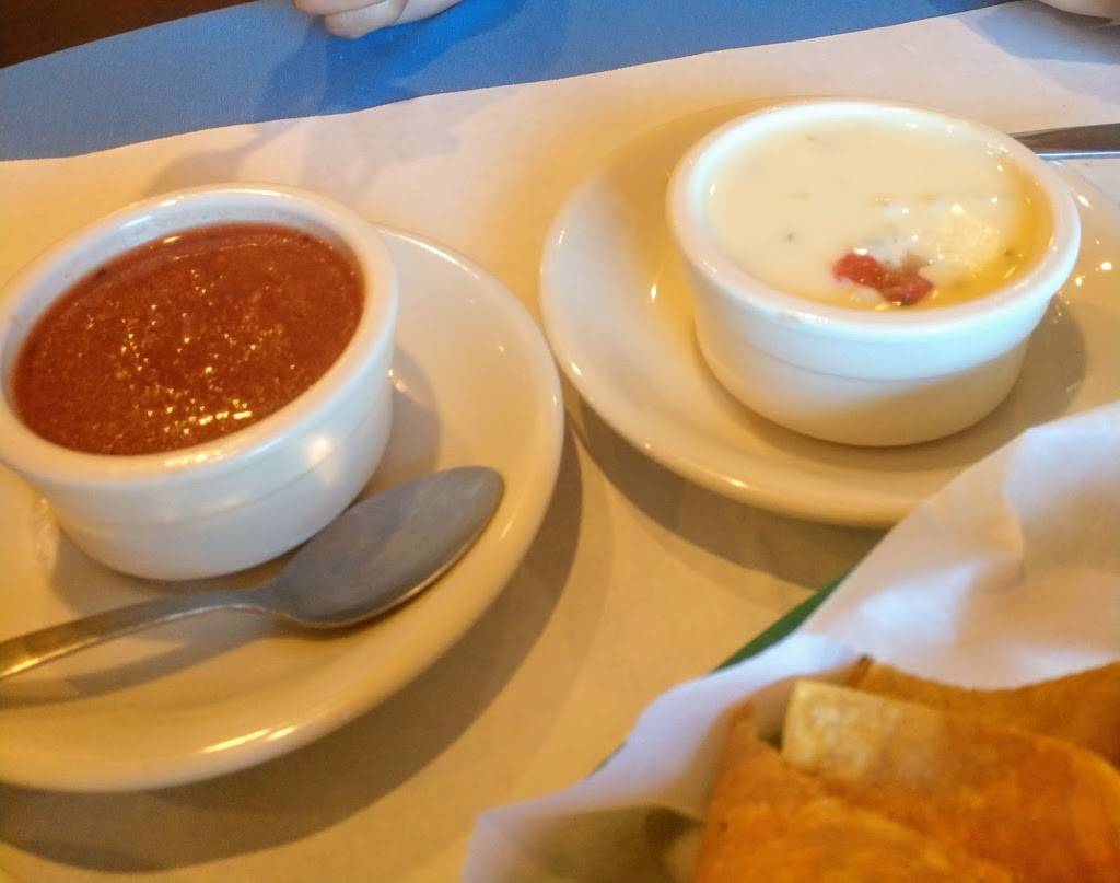 Catty Shack Tex-Mex | restaurant | 1839 Gentilly Blvd, New Orleans, LA 70119, USA | 5043723150 OR +1 504-372-3150