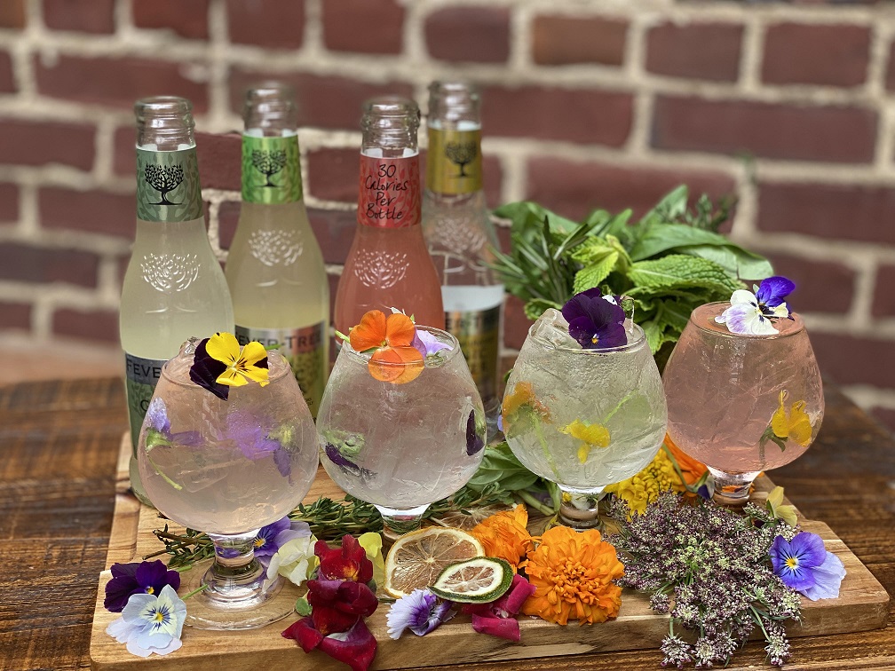 Terrassa | restaurant | 1108 Frankford Ave Suite 2, Philadelphia, PA 19125, USA | 2152030202 OR +1 215-203-0202