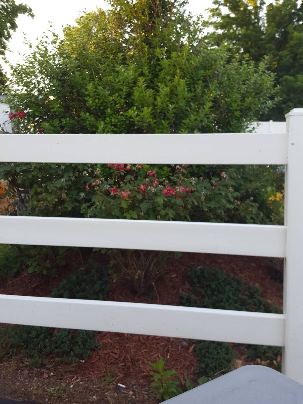 Dairy Queen | restaurant | 4254 Teays Valley Road, Scott Depot, WV 25560, USA | 3047578110 OR +1 304-757-8110