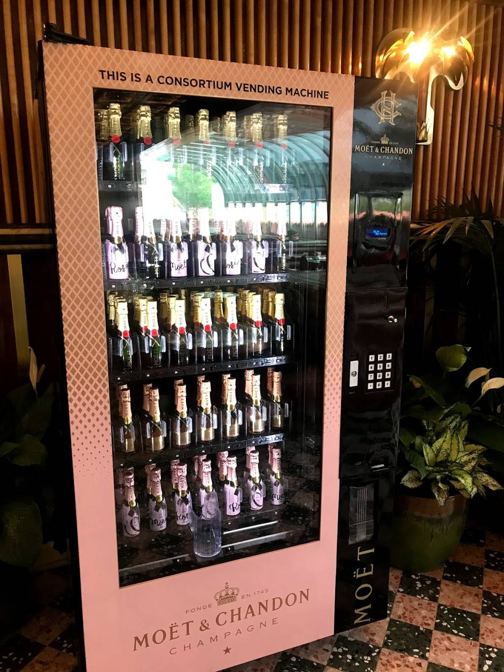 Morning Glory | cafe | 550 W Date St, San Diego, CA 92101, USA | 6196290302 OR +1 619-629-0302