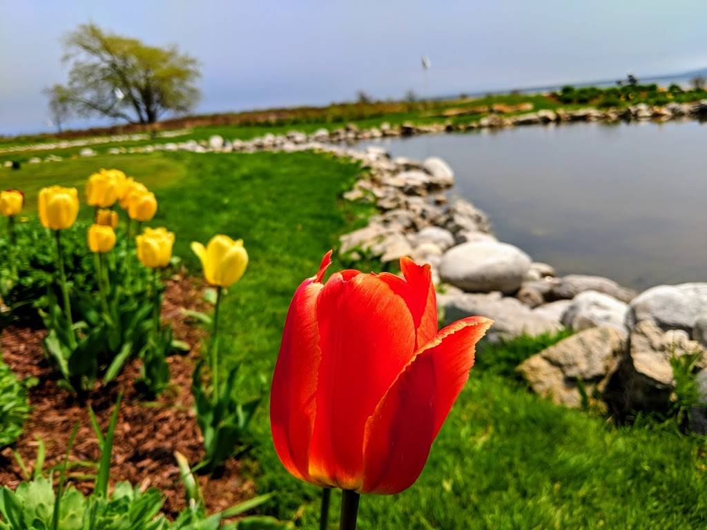 Bistro On The Greens | restaurant | One Lake Shore Dr, Mackinac Island, MI 49757, USA | 9068473000 OR +1 906-847-3000