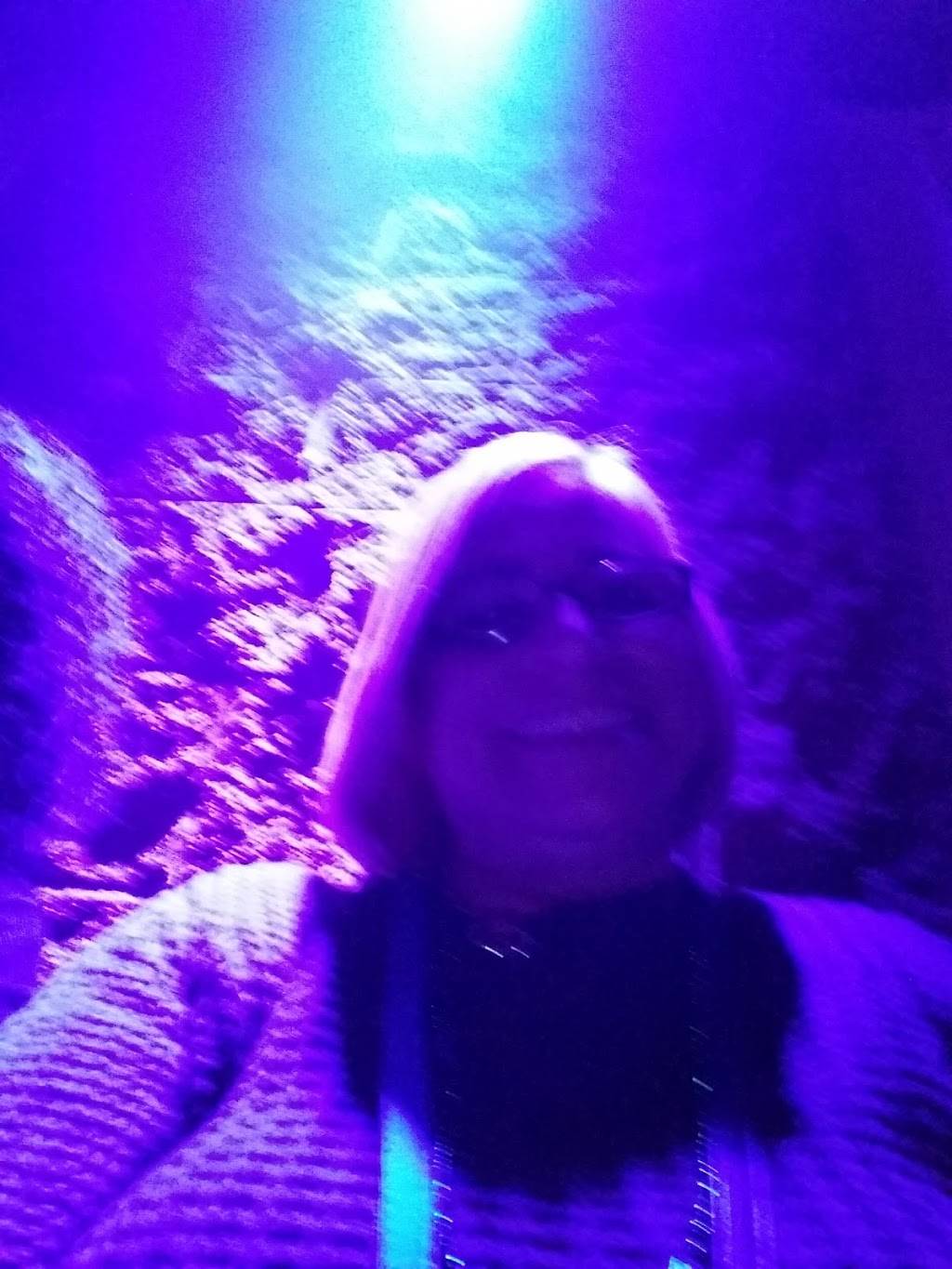 Andons Restaurant | restaurant | 1217 State St, Springfield, MA 01109, USA | 4137391143 OR +1 413-739-1143