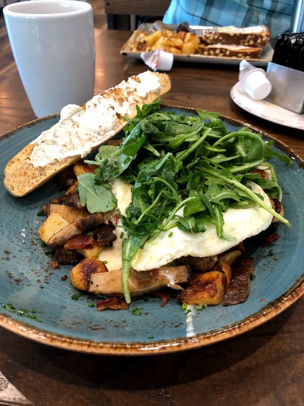 First Watch - Trinity | restaurant | 3240 Redeemer Way Suite E-3, New Port Richey, FL 34655, USA | 7272919944 OR +1 727-291-9944