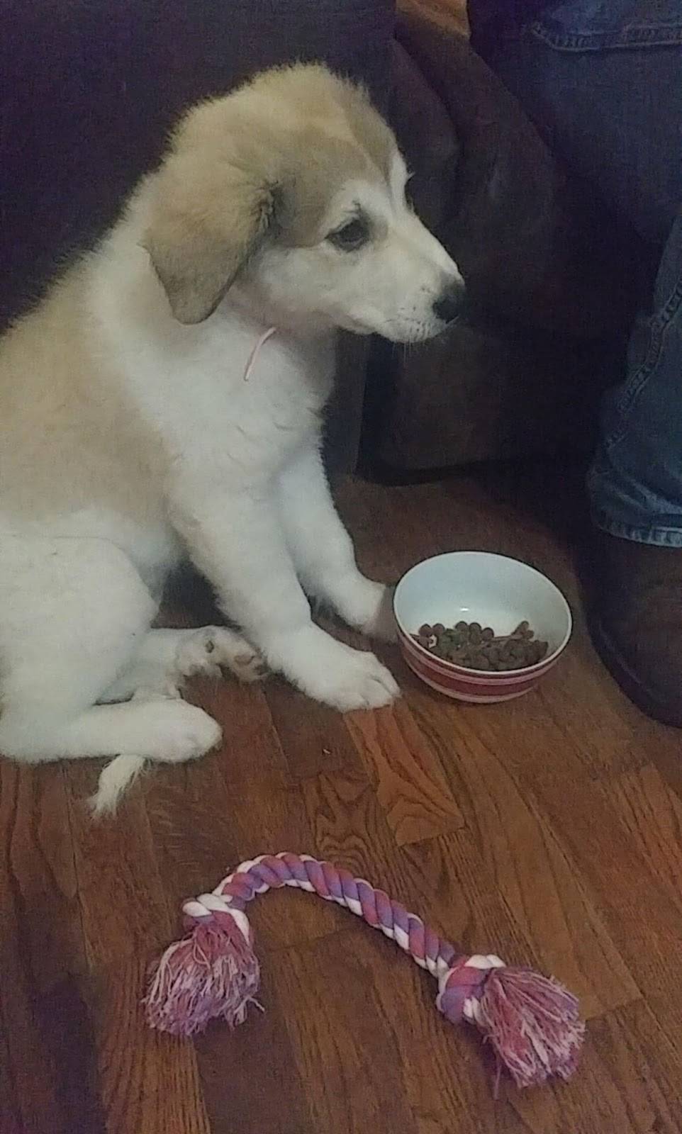 Park-Et Fine Foods | restaurant | 211 S Kingshighway St, Perryville, MO 63775, USA | 5735474147 OR +1 573-547-4147