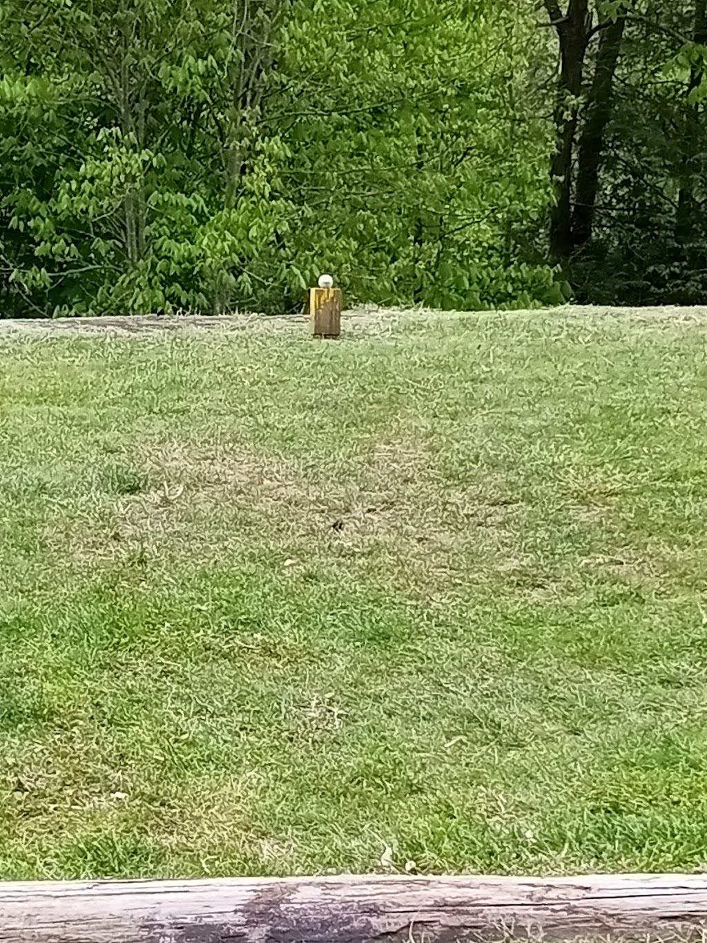 Cliff View Golf Course, The Inn & The Brewhouse Restaurant | restaurant | 410 Friels Dr, Covington, VA 24426, USA | 5409622200 OR +1 540-962-2200