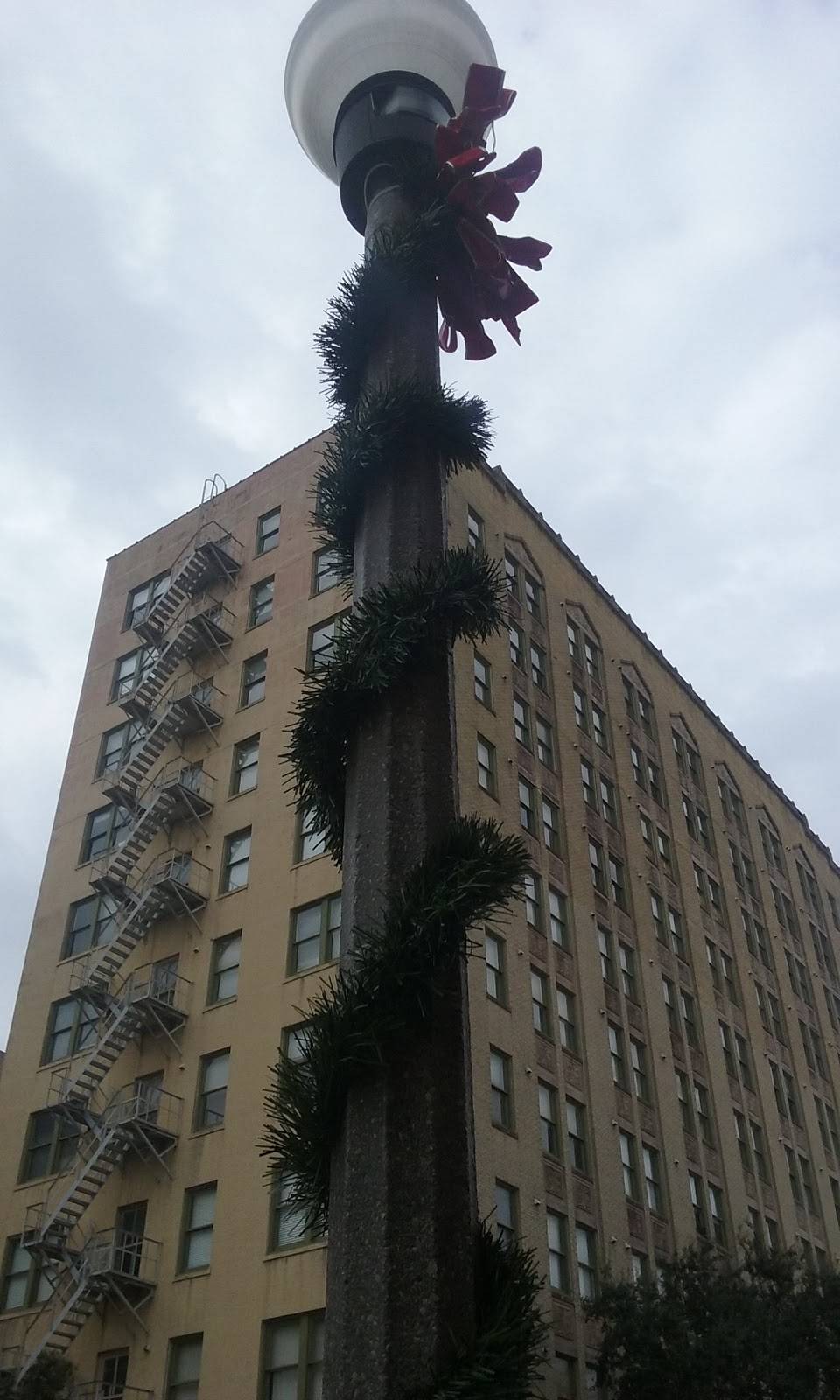 Cassidys Irish Pub | night club | 601 N Water St, Corpus Christi, TX 78401, USA | 3619295570 OR +1 361-929-5570