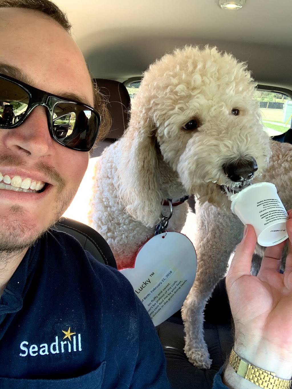 Starbucks | cafe | 402 W Farm to Market 517 Rd W, Dickinson, TX 77539, USA | 3463472655 OR +1 346-347-2655