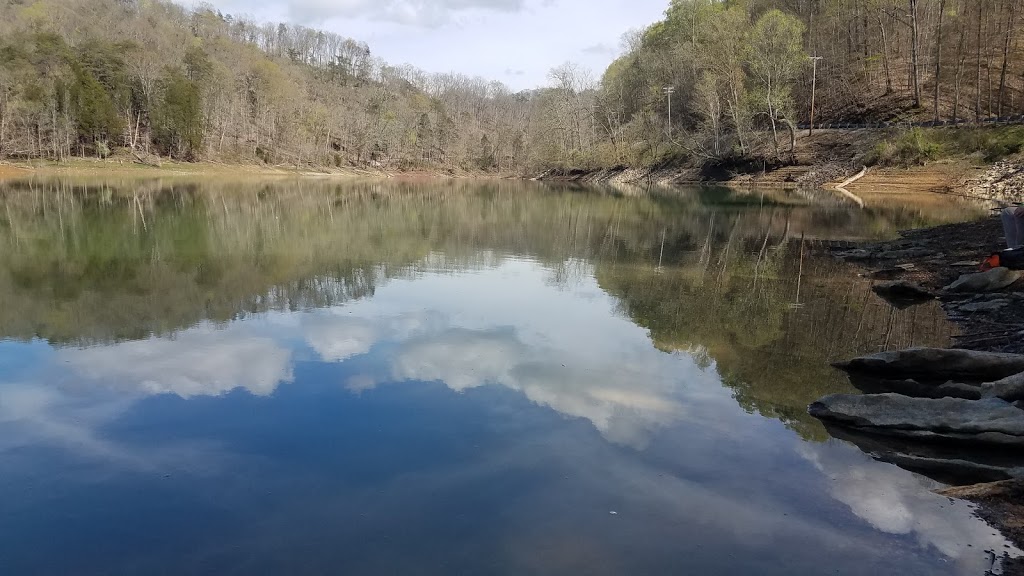 Waterside Marina | restaurant | 408 Dock Rd, Andersonville, TN 37705, USA | 8654949649 OR +1 865-494-9649