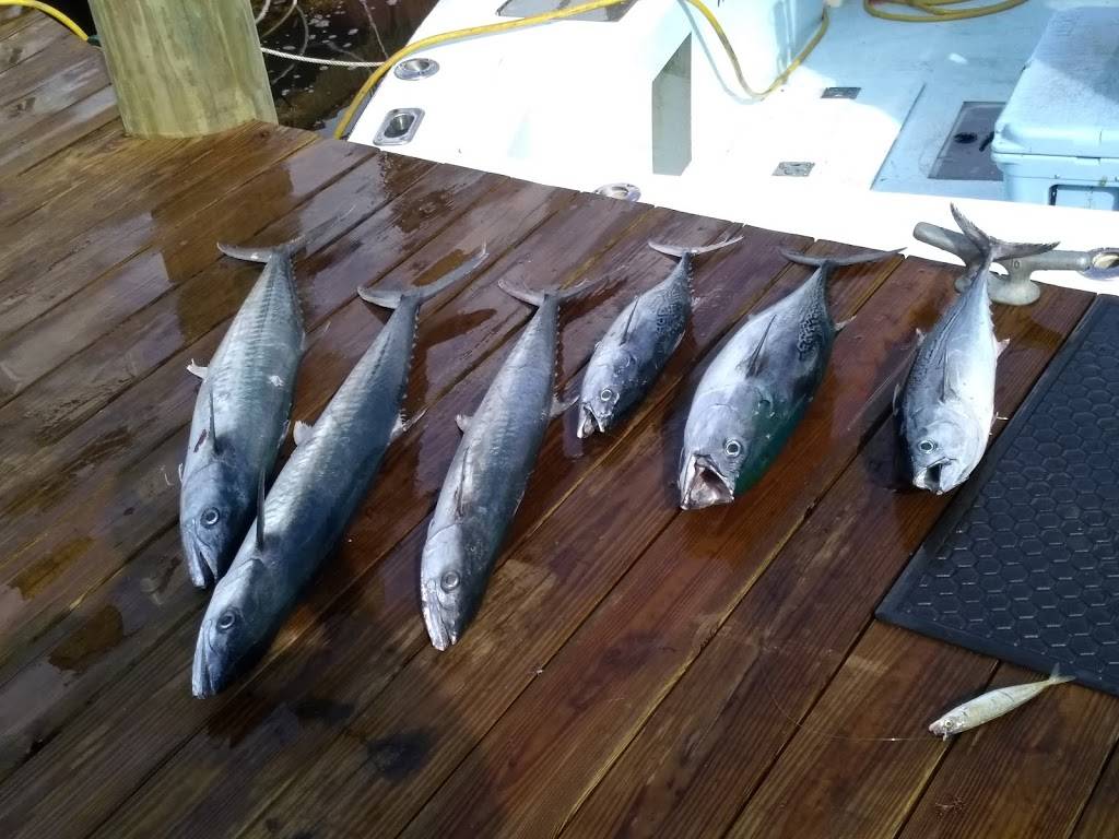 Montys Raw Bar | restaurant | 2550 S Bayshore Dr, Miami, FL 33133, USA | 3058563992 OR +1 305-856-3992