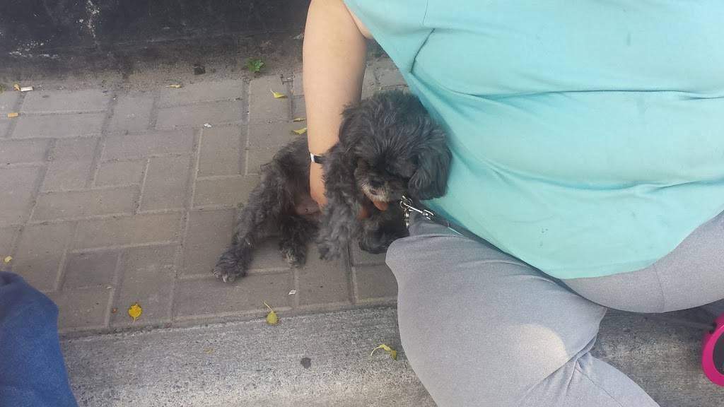 Petes Subs and Burgers | restaurant | 441 George St N, Peterborough, ON K9H 3R6, Canada | 7057421588 OR +1 705-742-1588