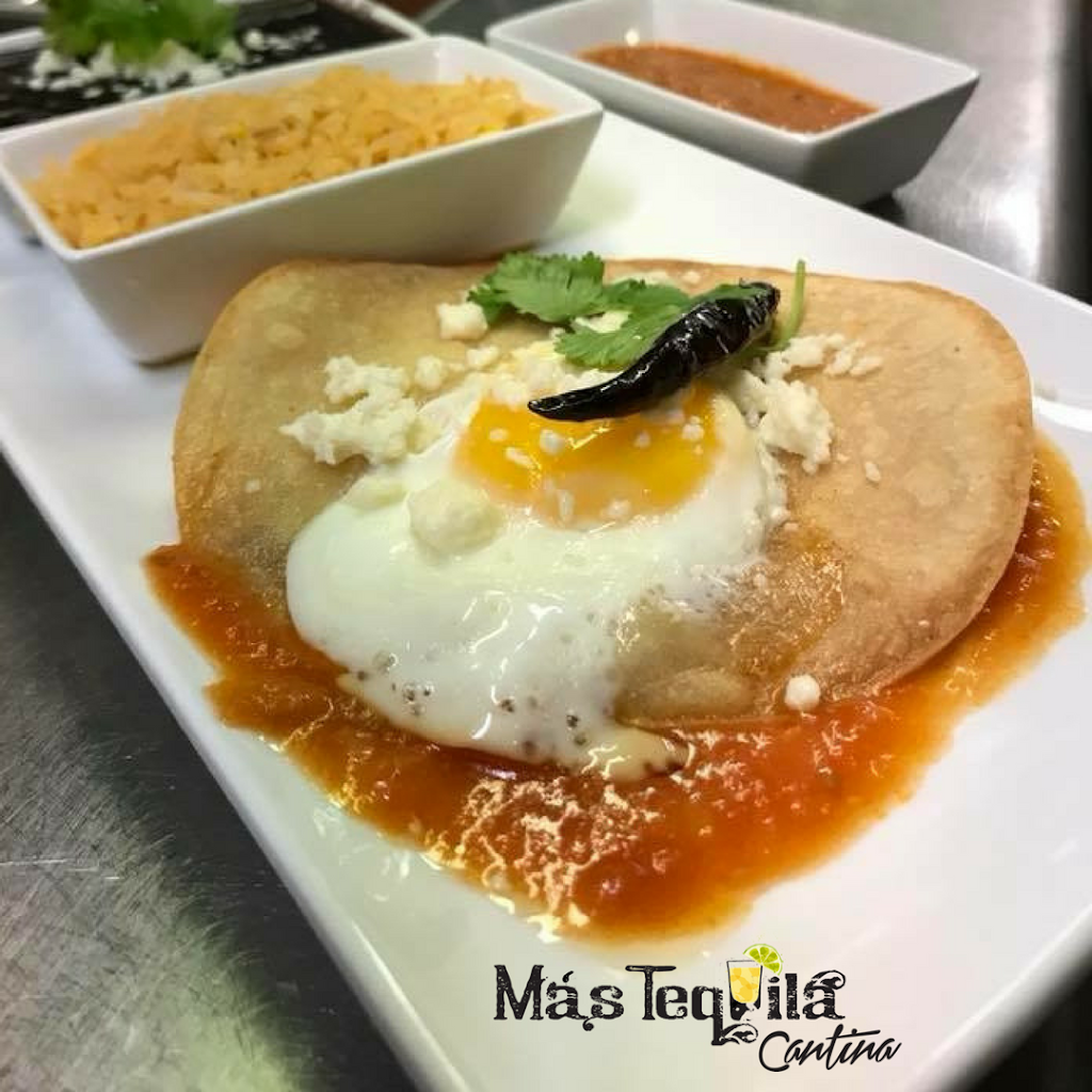 Más Tequila Cantina | restaurant | 708 N 2nd St, St. Louis, MO 63102, USA | 3148771700 OR +1 314-877-1700