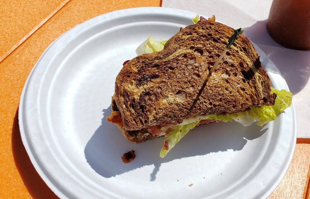 Frog Bar | restaurant | 806 S Atlantic Ave, Ocean City, MD 21842, USA | 4102893764 OR +1 410-289-3764