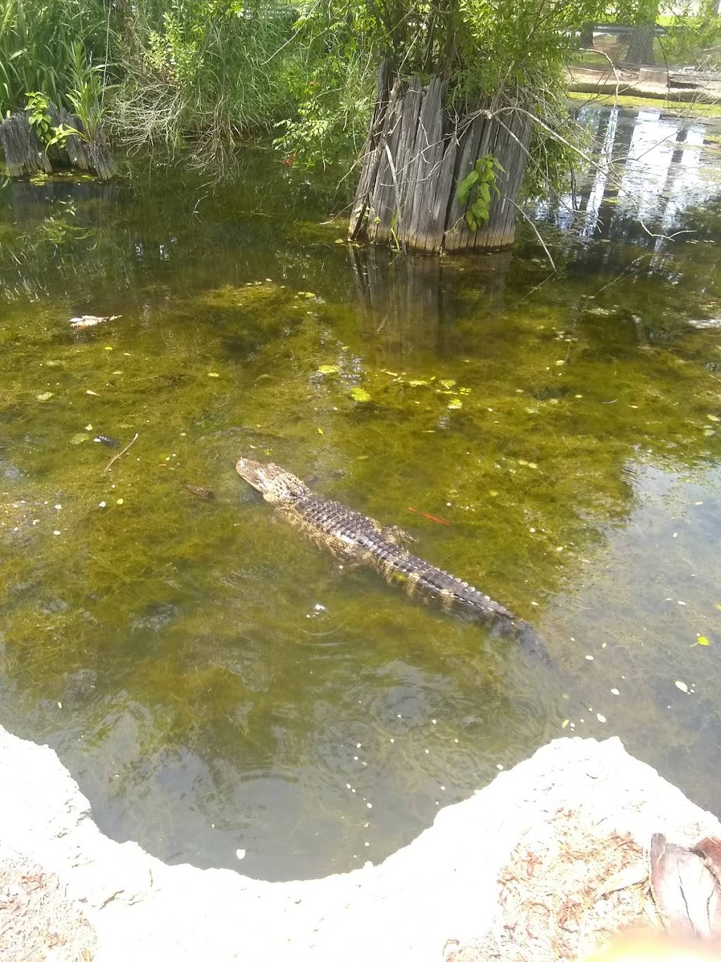 1910 | restaurant | 949 Ryan St, Lake Charles, LA 70601, USA | 3376026278 OR +1 337-602-6278