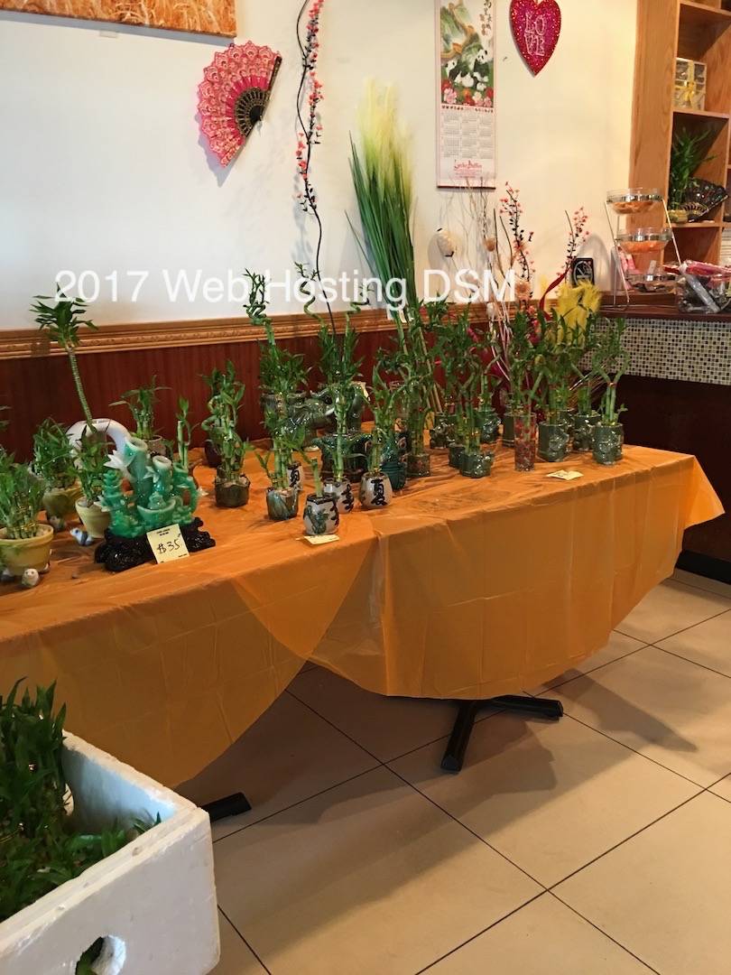 Lucky Buffet | restaurant | 1900 Lantaff Blvd, Madisonville, KY 42431, USA | 2708258585 OR +1 270-825-8585