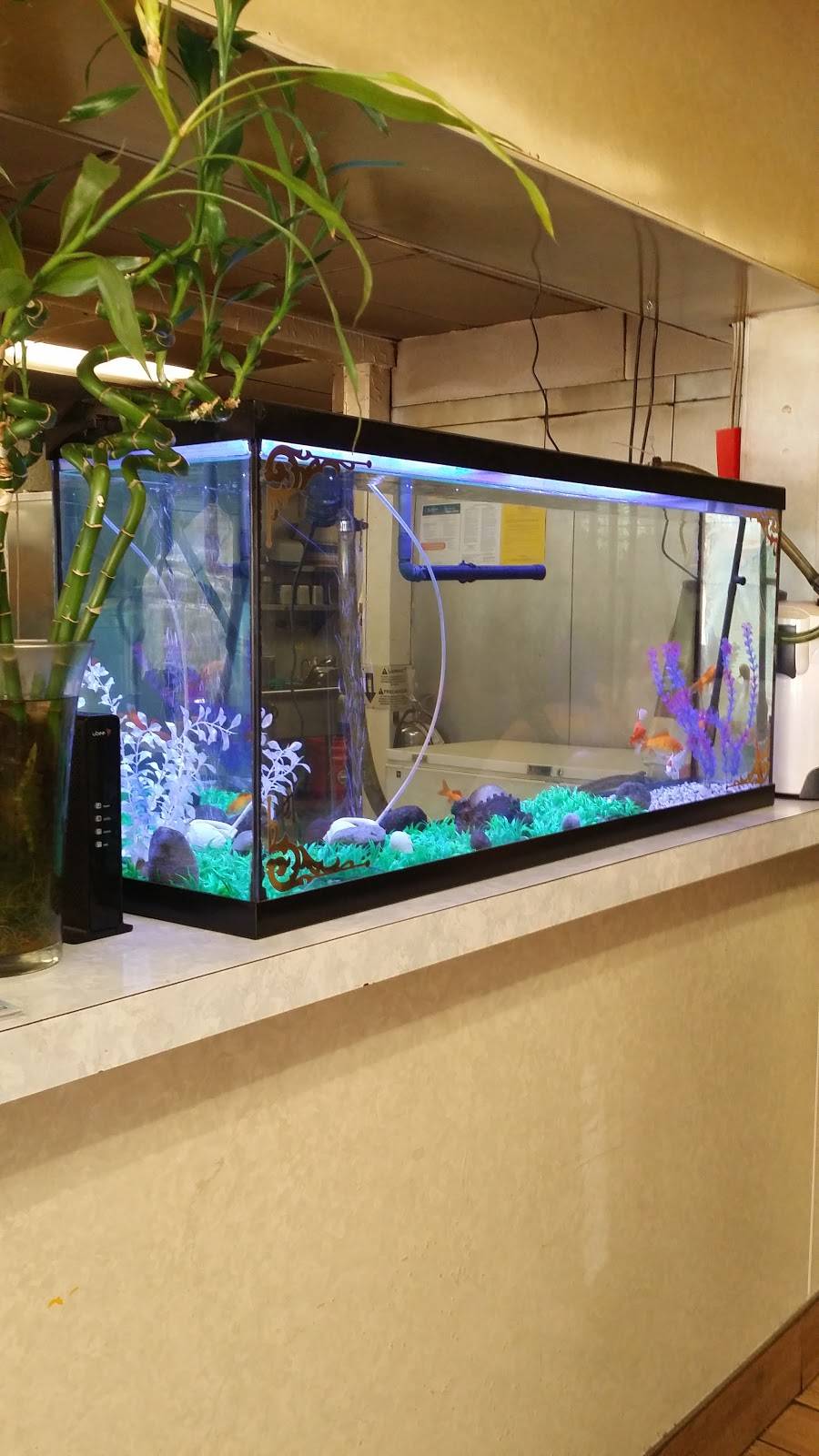 Main Moon | restaurant | 149 Bay St, Glens Falls, NY 12801, USA | 5187451643 OR +1 518-745-1643