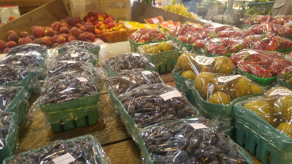 Wards Berry Farm | bakery | 614 S Main St, Sharon, MA 02067, USA | 7817843600 OR +1 781-784-3600