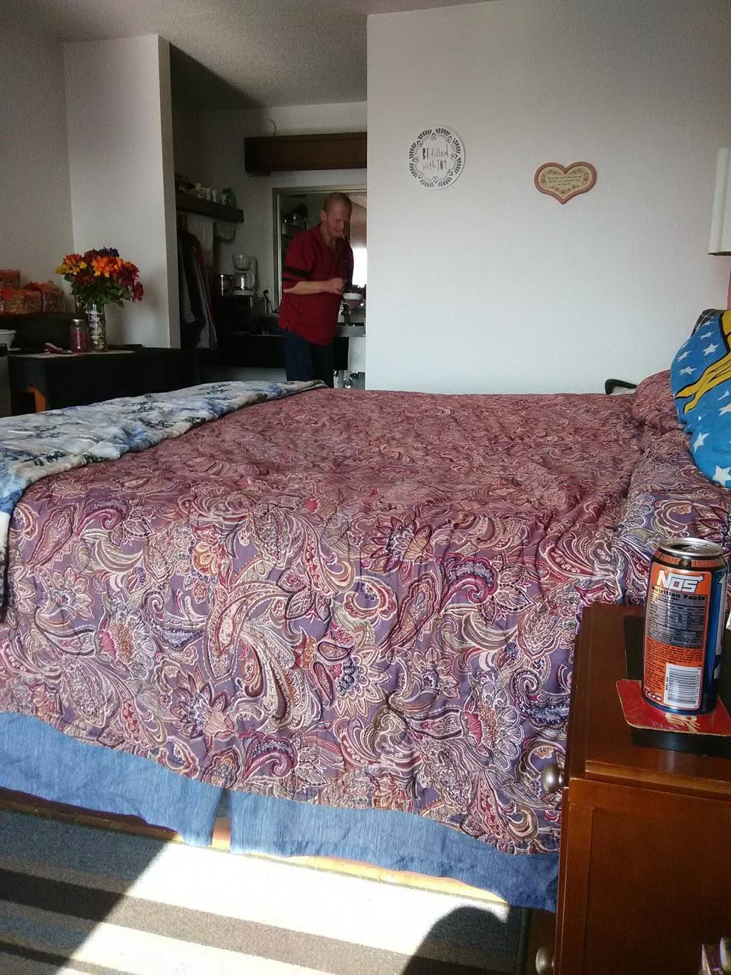 Ds | restaurant | 3200 Alma Hwy, Van Buren, AR 72956, USA | 4794743574 OR +1 479-474-3574