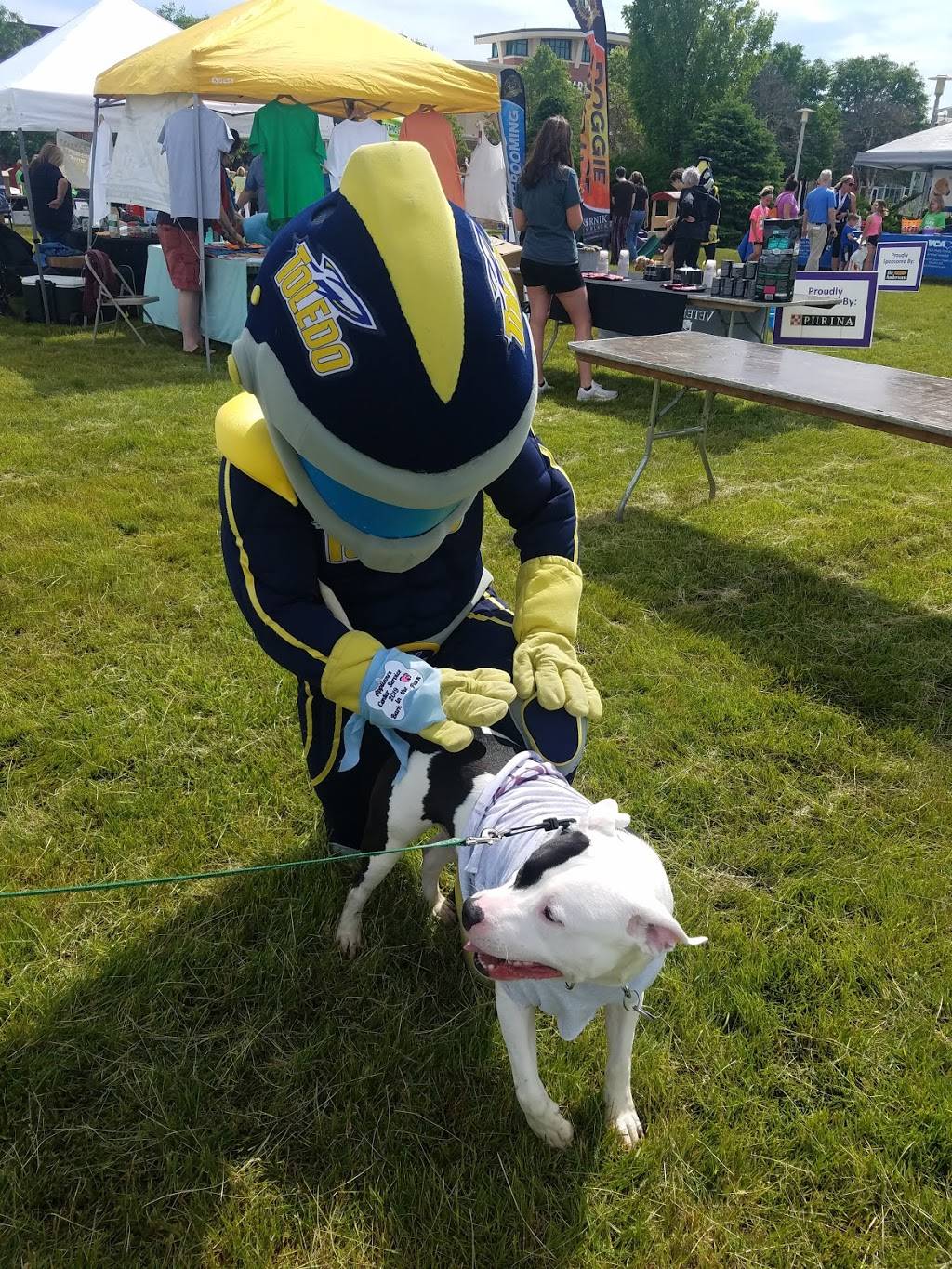 Fallen Timbers 14 and XD | meal takeaway | 2300 Village Dr E, Maumee, OH 43537, USA | 4198783898 OR +1 419-878-3898