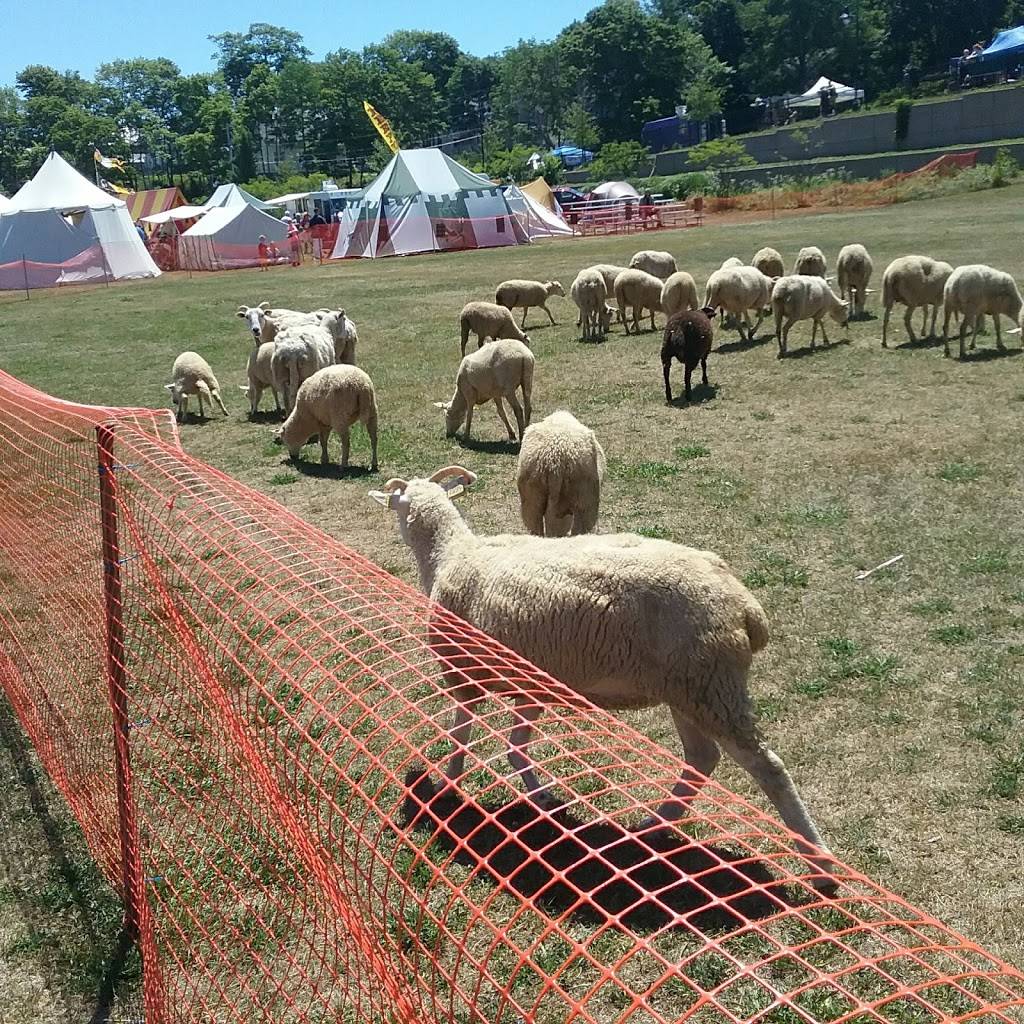 Wild Cow Creamery | restaurant | 88 Front St, Bangor, ME 04401, USA | 2072007047 OR +1 207-200-7047