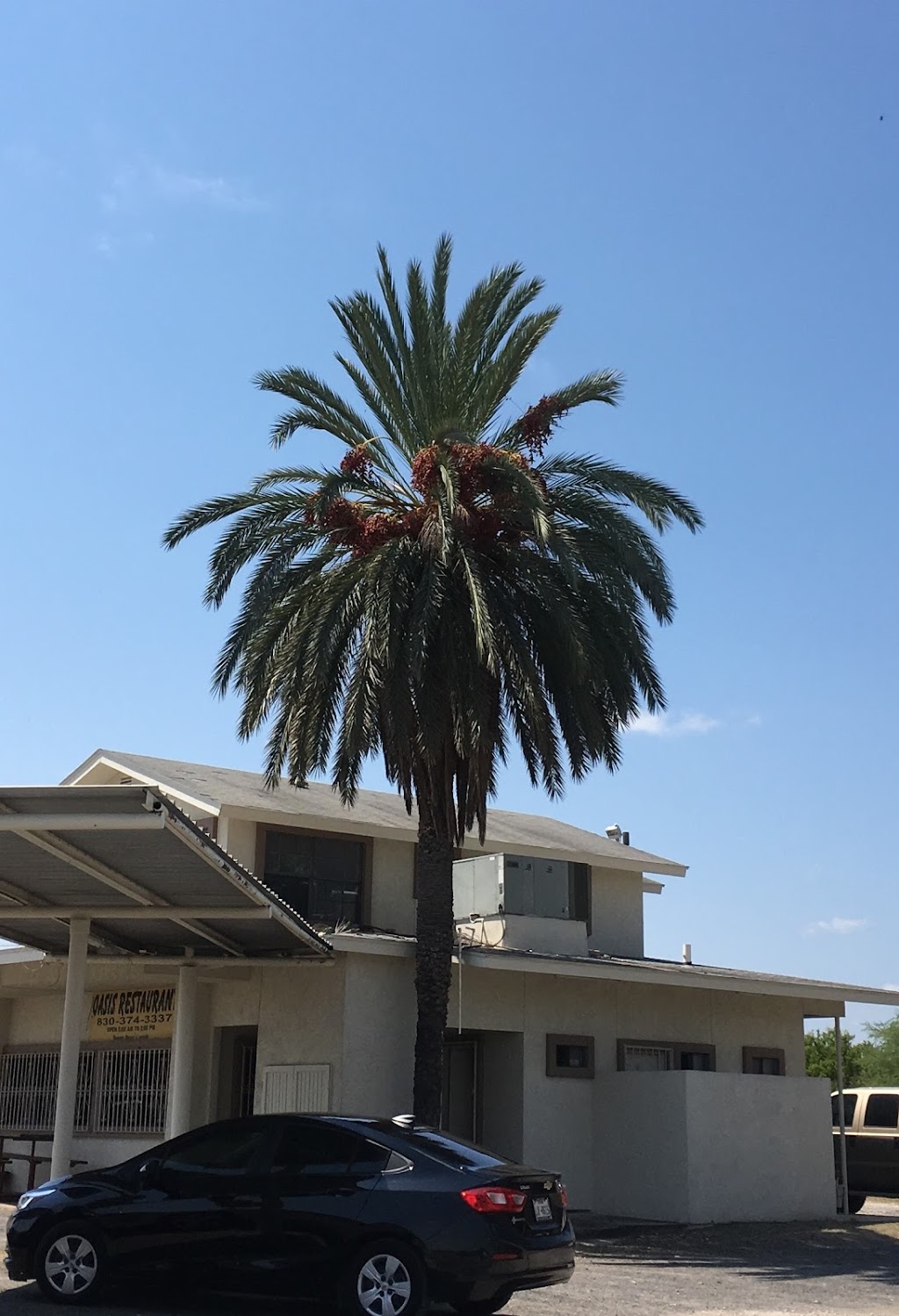 Oasis Restaurant | restaurant | 2409 US-83, Crystal City, TX 78839, USA | 8303743337 OR +1 830-374-3337