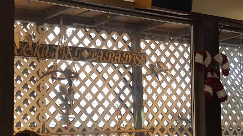 Frannys Place Family | restaurant | 2619 Williams Blvd, Kenner, LA 70062, USA | 5044694323 OR +1 504-469-4323