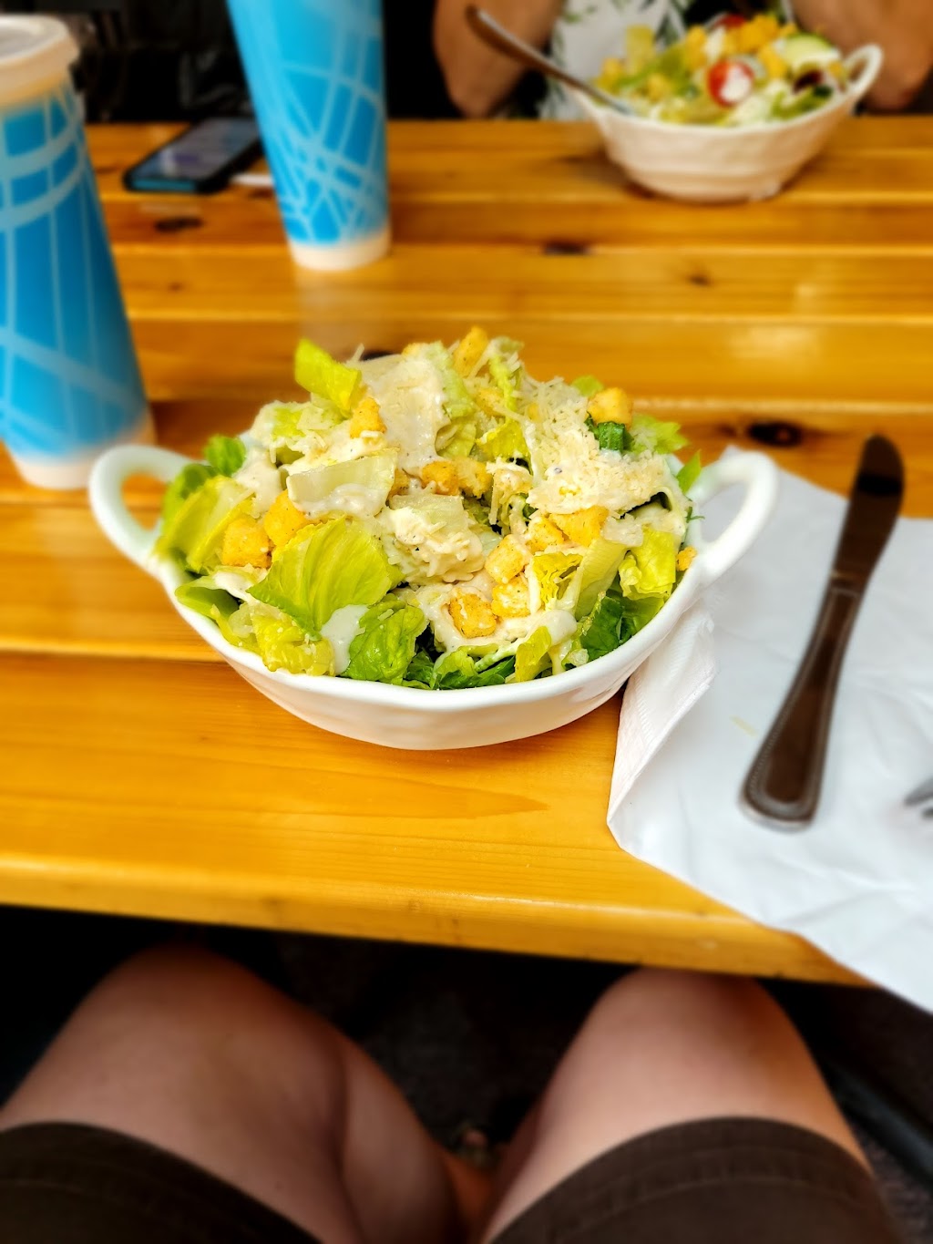 Rizza Pizza | restaurant | 1127 NE Hwy 20, Toledo, OR 97391, USA | 5416350228 OR +1 541-635-0228