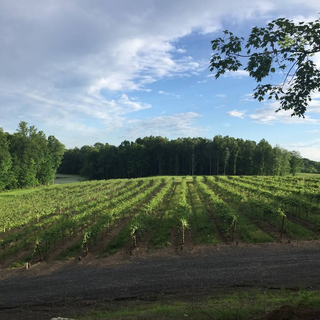 Magnanini Winery, Restaurant & Distillery | restaurant | 172 Strawridge Rd, Wallkill, NY 12589, USA | 8458952767 OR +1 845-895-2767