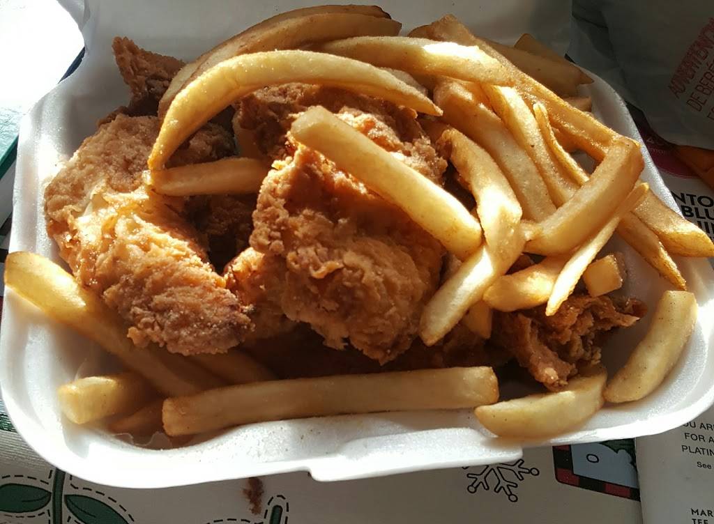 Hook Fish and Chicken | restaurant | 4322, 319 Blanding Blvd, Orange Park, FL 32073, USA | 9045793091 OR +1 904-579-3091