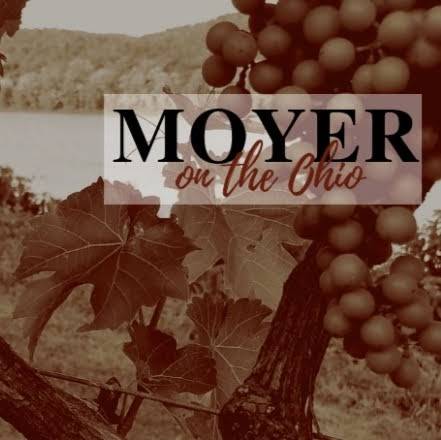 Moyer Winery and Restaurant | restaurant | 3859 US, US-52, Manchester, OH 45144, USA | 9375492957 OR +1 937-549-2957