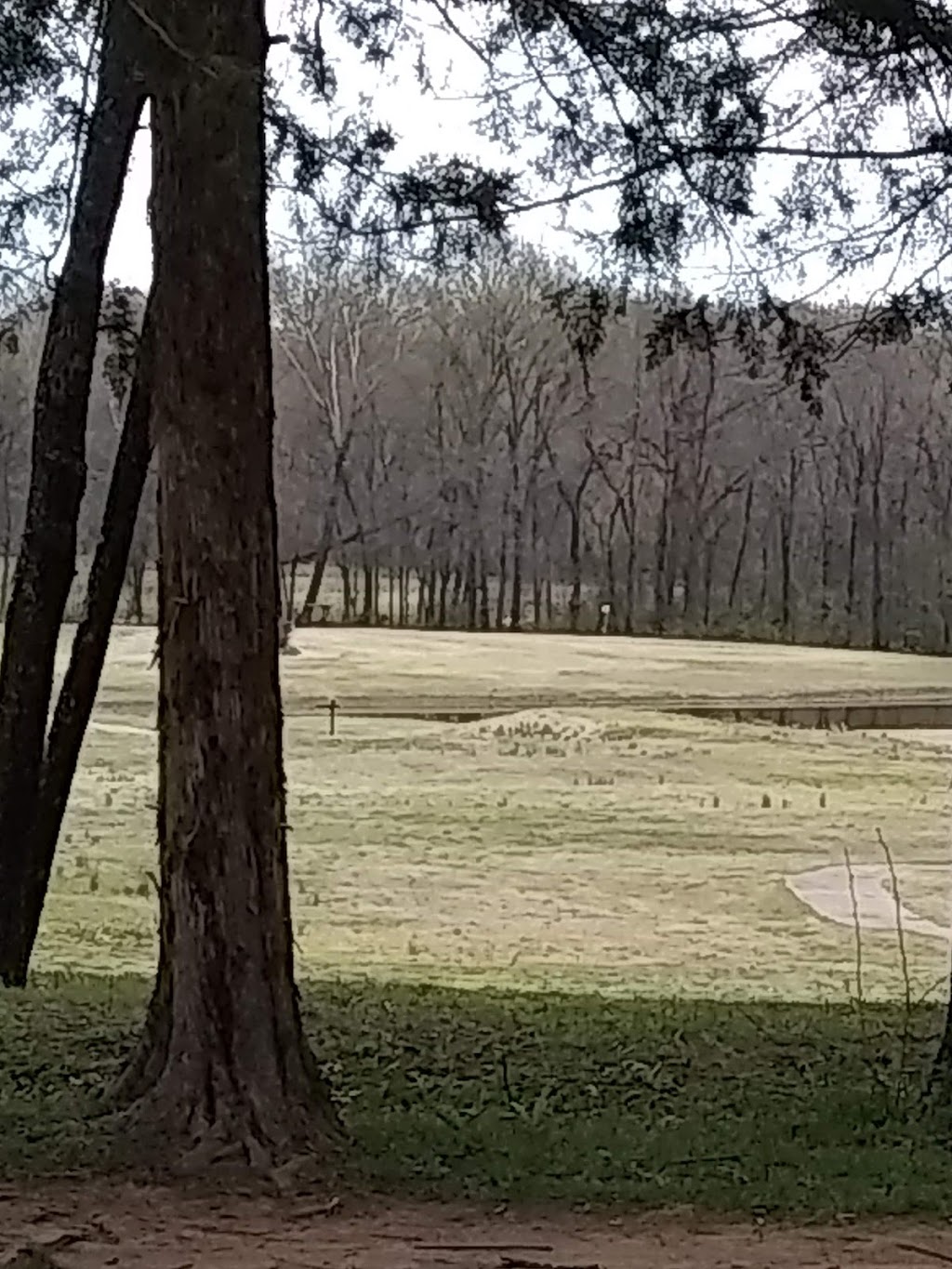 Galla Creek Golf Course & Country Club | restaurant | 141 Golf Club Ln, Pottsville, AR 72858, USA | 4798906653 OR +1 479-890-6653