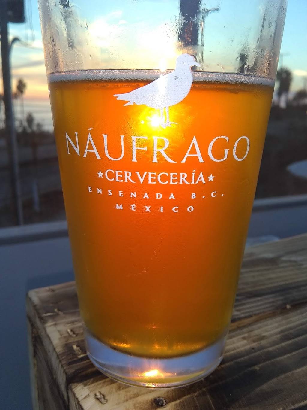Náufrago Cervecería | restaurant | México 3, C.I.C.E.S.E., 22860 Ensenada, B.C., Mexico | 016461504779 OR +52 646 150 4779