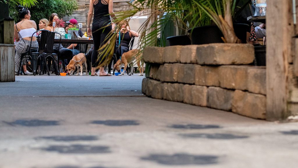 Germantown Garden | restaurant | 1029 Germantown Ave, Philadelphia, PA 19123, USA | 2672140086 OR +1 267-214-0086