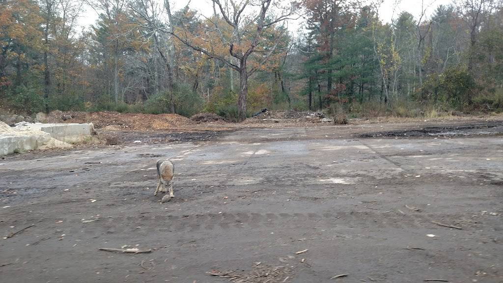 D E Foods Inc | restaurant | 170 Olde Forge Rd, Hanover, MA 02339, USA | 7819820755 OR +1 781-982-0755