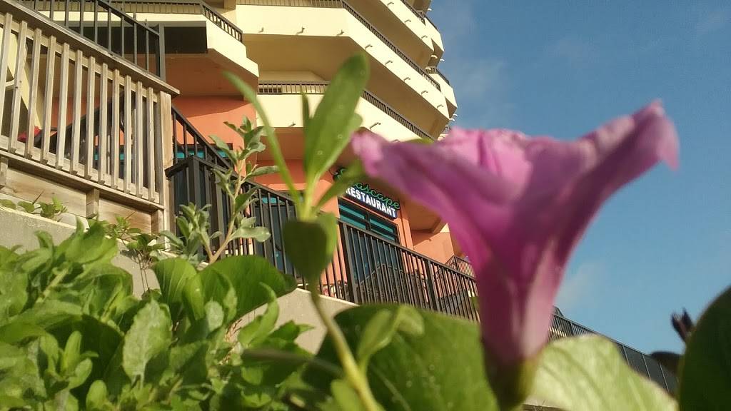 Seascape Restaurant | restaurant | 1401 S Atlantic Ave, New Smyrna Beach, FL 32169, USA | 3864260020 OR +1 386-426-0020