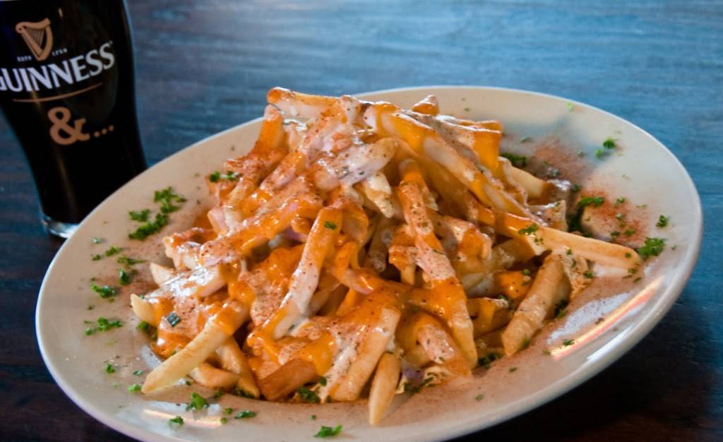 Wild Goose Bar & Grill | restaurant | 4265 N Lincoln Ave, Chicago, IL 60618, USA | 7732817112 OR +1 773-281-7112