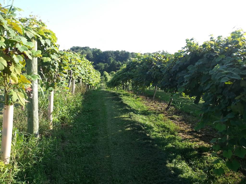 Ertel Cellars Winery Inc | restaurant | 3794 E County Rd 1100 N, Batesville, IN 47006, USA | 8129331500 OR +1 812-933-1500