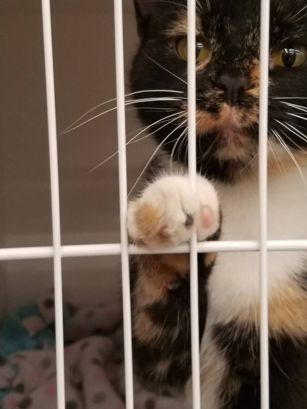 Pet Supplies Plus Fitchburg | restaurant | 2928 Hardrock Rd, Fitchburg, WI 53719, USA | 6084165767 OR +1 608-416-5767