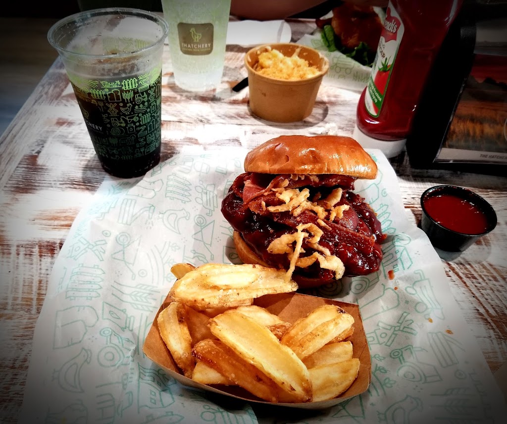 The Hatchery | restaurant | 201 N Dale Mabry Hwy, Tampa, FL 33609, USA | 8134925342 OR +1 813-492-5342