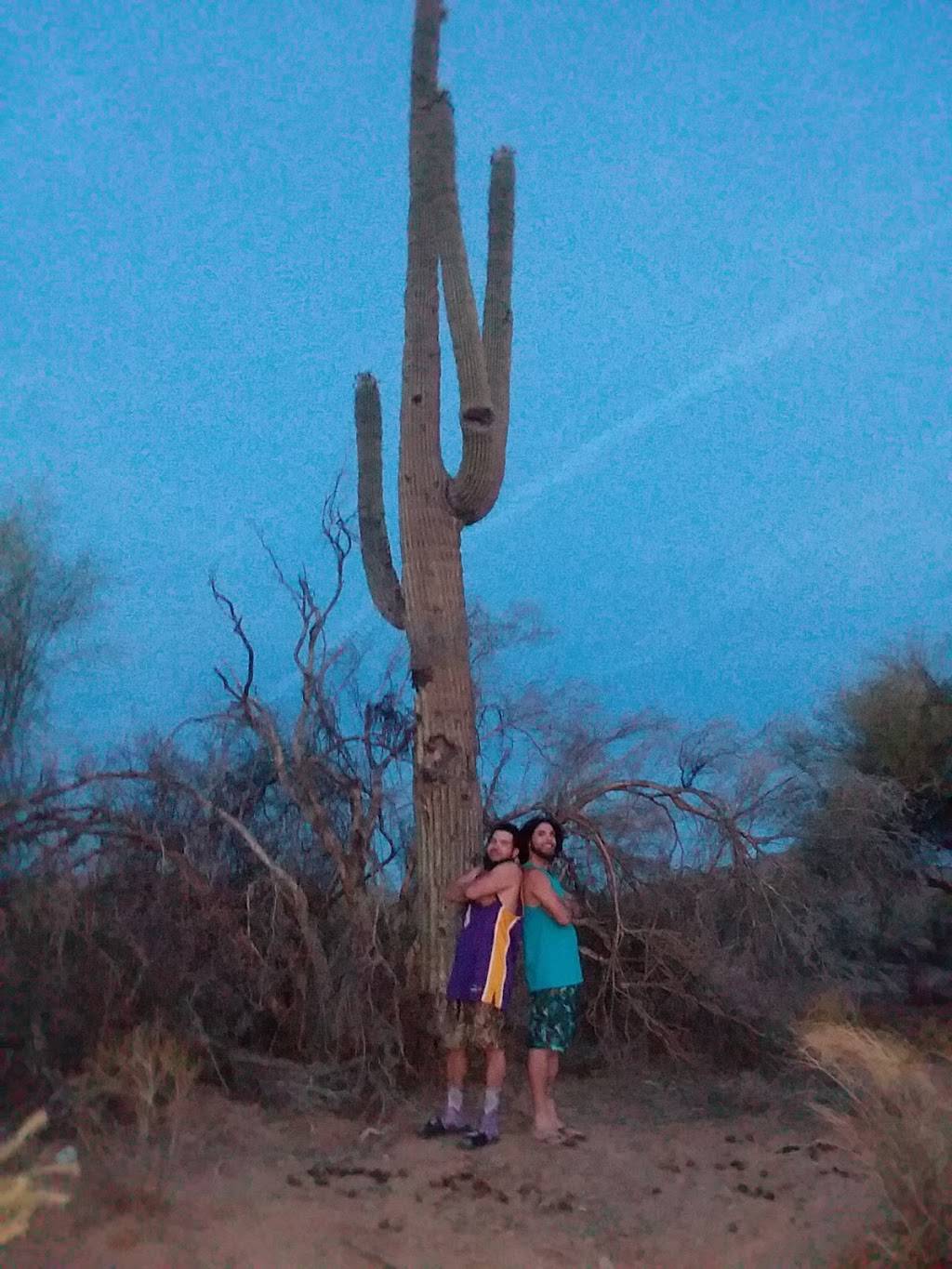 Louisiana Fried Chicken | restaurant | 763 W Highland Ave, San Bernardino, CA 92405, USA | 9098828100 OR +1 909-882-8100
