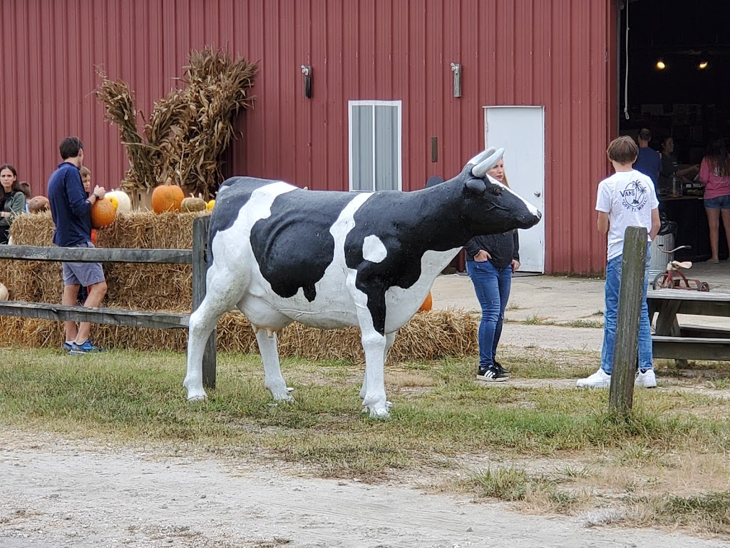Vollmer Farm - Farm Market & Cafe | cafe | 677 North Carolina 98 Hwy E, Bunn, NC 27508, USA | 9194963076 OR +1 919-496-3076