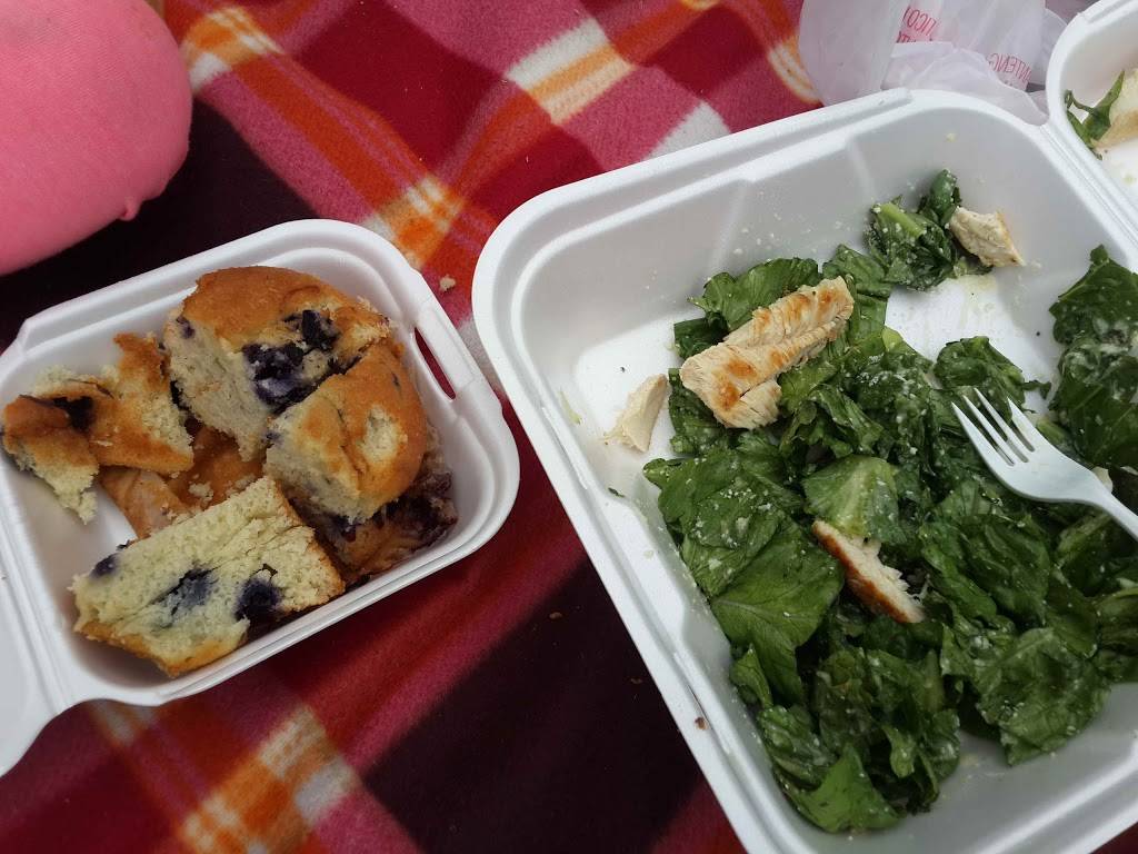 Judge For Yourself Cafe | cafe | 1218 Santa Barbara St, Santa Barbara, CA 93101, USA | 8059669000 OR +1 805-966-9000